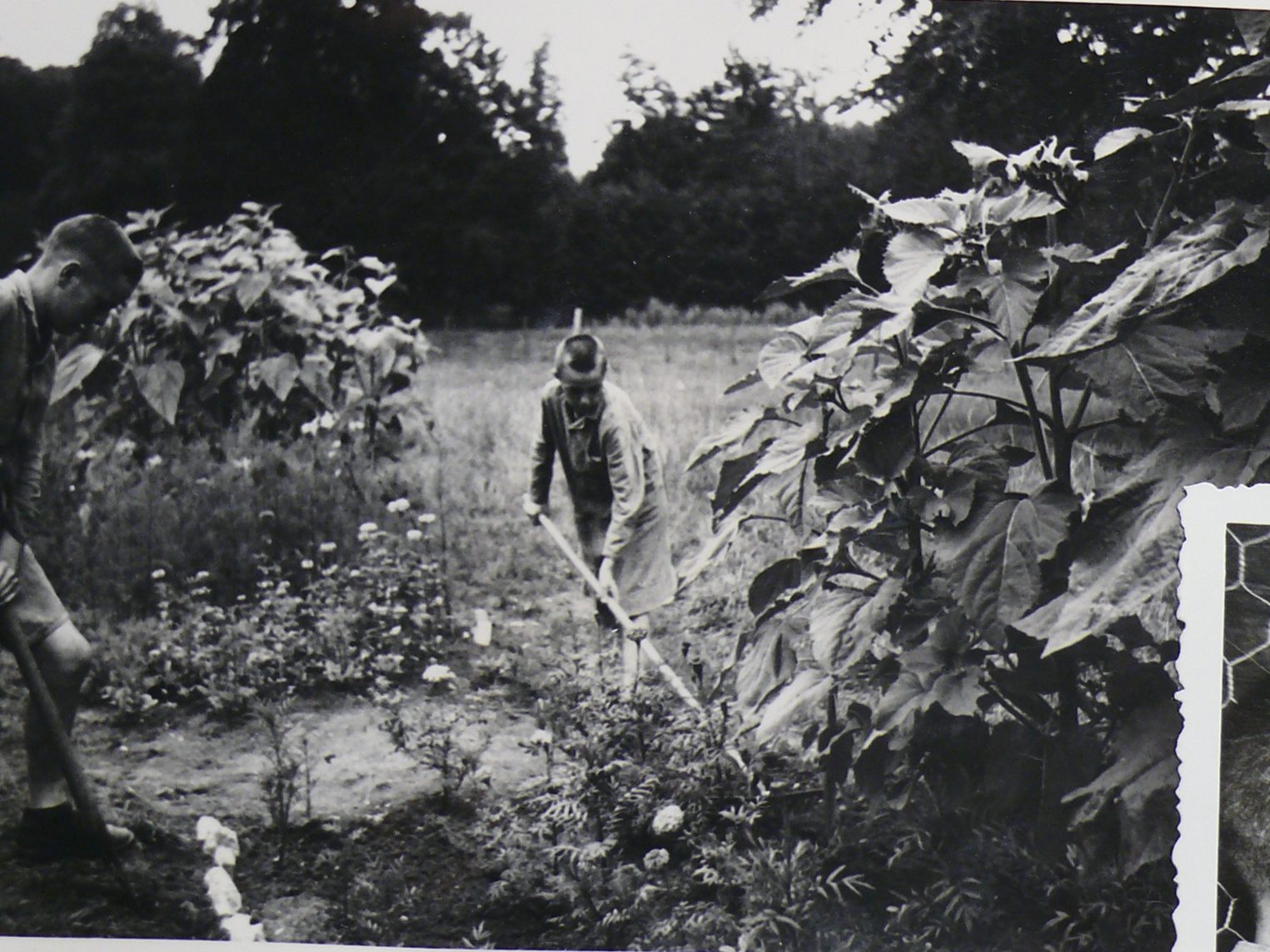 Album photo - Jeux et occupation