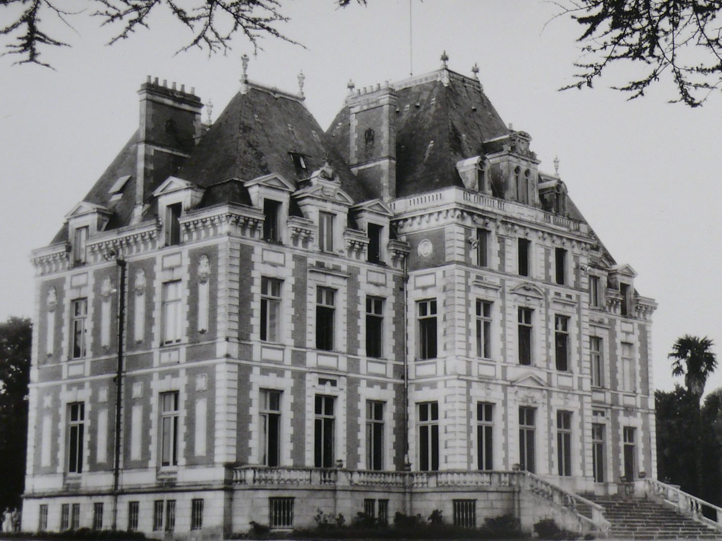 Il s'agit d'une photographie présente dans un album photo. On y voit le château de la Masselière de trois quart. Donc la face arrière et la face droite du bâtiment.